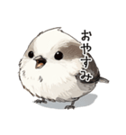 シンプルな手書きシマエナガスタンプ（個別スタンプ：2）