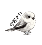 シンプルな手書きシマエナガスタンプ（個別スタンプ：3）