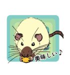 ファンシーラットたちのスタンプ（個別スタンプ：1）