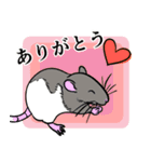 ファンシーラットたちのスタンプ（個別スタンプ：4）