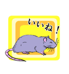 ファンシーラットたちのスタンプ（個別スタンプ：5）
