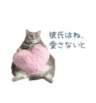 実写ねこ彼氏【面白い・カップル】（個別スタンプ：2）