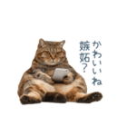 実写ねこ彼氏【面白い・カップル】（個別スタンプ：3）