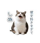 実写ねこ彼氏【面白い・カップル】（個別スタンプ：5）