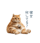 実写ねこ彼氏【面白い・カップル】（個別スタンプ：7）