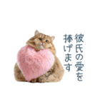 実写ねこ彼氏【面白い・カップル】（個別スタンプ：8）