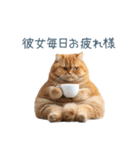 実写ねこ彼氏【面白い・カップル】（個別スタンプ：9）
