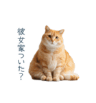 実写ねこ彼氏【面白い・カップル】（個別スタンプ：11）