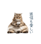 実写ねこ彼氏【面白い・カップル】（個別スタンプ：12）