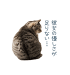 実写ねこ彼氏【面白い・カップル】（個別スタンプ：13）