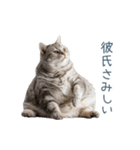 実写ねこ彼氏【面白い・カップル】（個別スタンプ：19）