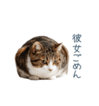 実写ねこ彼氏【面白い・カップル】（個別スタンプ：21）