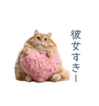 実写ねこ彼氏【面白い・カップル】（個別スタンプ：23）
