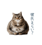 実写ねこ彼氏【面白い・カップル】（個別スタンプ：24）