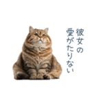 実写ねこ彼氏【面白い・カップル】（個別スタンプ：25）