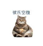 実写ねこ彼氏【面白い・カップル】（個別スタンプ：30）