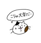 ミケネコのひとこと（個別スタンプ：14）