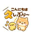 豆柴日和♡ごちゃ混ぜバラエティ（個別スタンプ：12）
