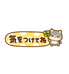 豆柴日和♡ごちゃ混ぜバラエティ（個別スタンプ：23）