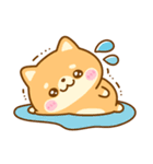 豆柴日和♡ごちゃ混ぜバラエティ（個別スタンプ：28）