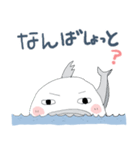 サメだッ！（個別スタンプ：4）