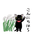 こくたん 秋とハロウィンのスタンプ（個別スタンプ：28）