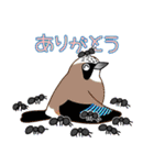 いろんな野鳥スタンプ2（個別スタンプ：2）