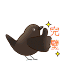 いろんな野鳥スタンプ2（個別スタンプ：6）