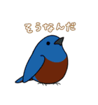 いろんな野鳥スタンプ2（個別スタンプ：8）