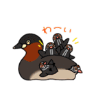 いろんな野鳥スタンプ2（個別スタンプ：9）