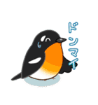 いろんな野鳥スタンプ2（個別スタンプ：15）