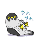 いろんな野鳥スタンプ2（個別スタンプ：16）