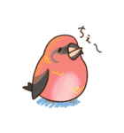 いろんな野鳥スタンプ2（個別スタンプ：17）