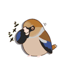 いろんな野鳥スタンプ2（個別スタンプ：18）