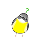 いろんな野鳥スタンプ2（個別スタンプ：19）