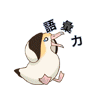 いろんな野鳥スタンプ2（個別スタンプ：21）
