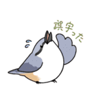 いろんな野鳥スタンプ2（個別スタンプ：25）
