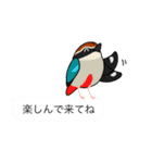 いろんな野鳥スタンプ2（個別スタンプ：30）