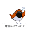 いろんな野鳥スタンプ2（個別スタンプ：31）
