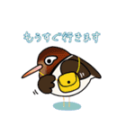 いろんな野鳥スタンプ2（個別スタンプ：35）