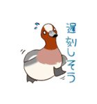 いろんな野鳥スタンプ2（個別スタンプ：36）