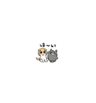しかるねこ33（超小さい）（個別スタンプ：15）