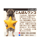 架空犬わんこ図鑑（個別スタンプ：4）