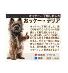 架空犬わんこ図鑑（個別スタンプ：7）