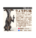 架空犬わんこ図鑑（個別スタンプ：8）