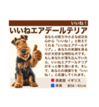 架空犬わんこ図鑑（個別スタンプ：13）