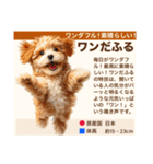 架空犬わんこ図鑑（個別スタンプ：15）