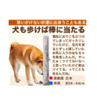 架空犬わんこ図鑑（個別スタンプ：17）