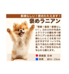 架空犬わんこ図鑑（個別スタンプ：19）