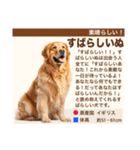 架空犬わんこ図鑑（個別スタンプ：20）